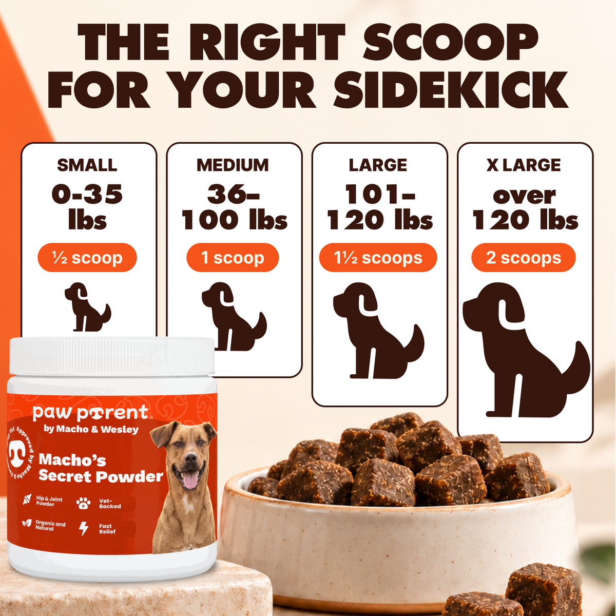 The Paw Parent - Spine & Disc