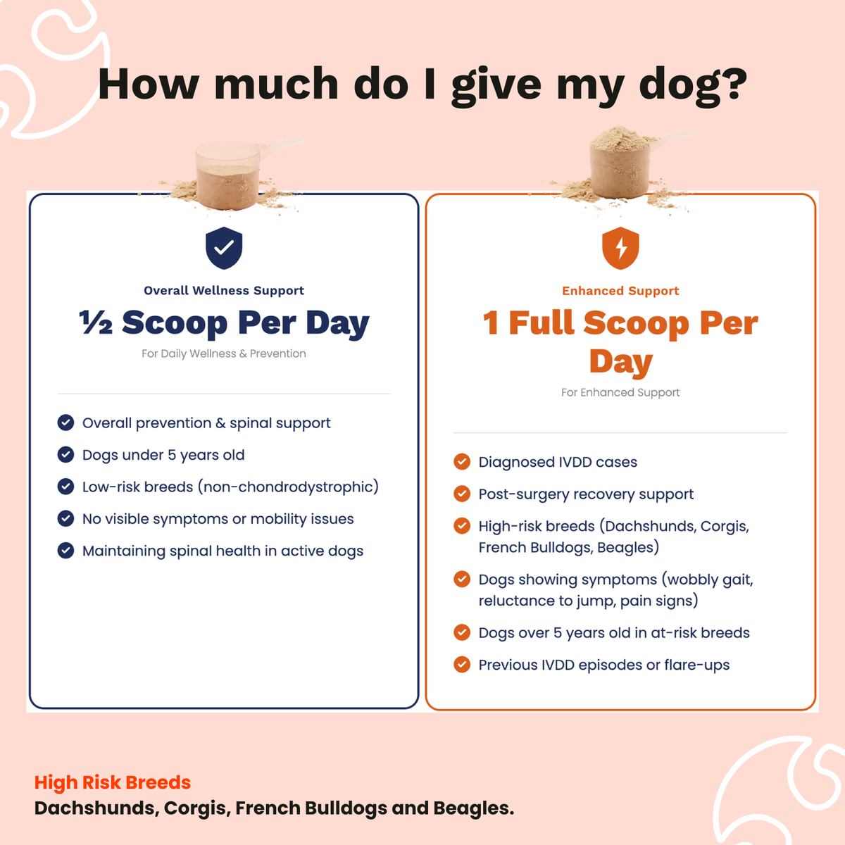 The Paw Parent - Spine & Disc