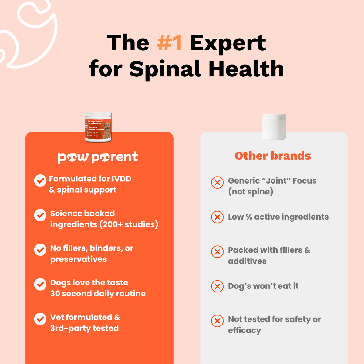 The Paw Parent - Spine & Disc
